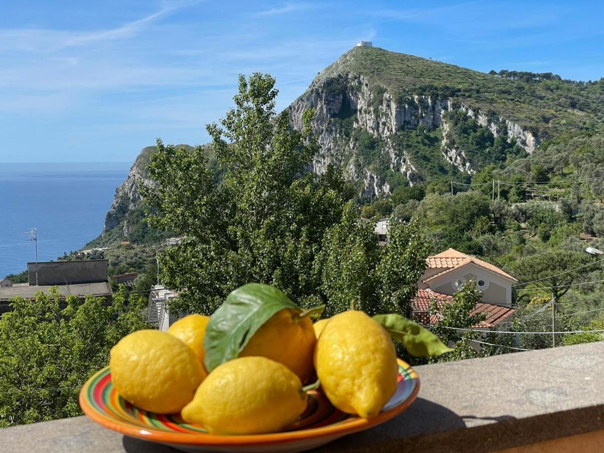 Casa Vacanza Villa Girasole Massa Lubrense Buitenkant foto